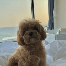 안목을높이다 이미지