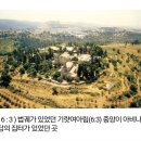 아비나답