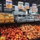 오산공판장 이미지