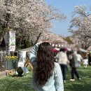 수원 가성비 여자 미용실 추천 헤어다이아 헤어샵에서 긴머리 아윤채 클리닉 후기
