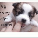 양촌리생삼겹살
