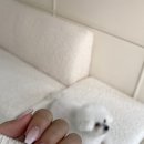 오와이오네일 이미지