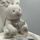 워너비태권도장 | 내돈내산 육아템 “니니네 스위트” 양치 후, 자기 전 먹을 수 있는 충치 예방 사탕이에요.