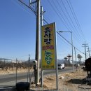 토마토라이브