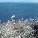 바라보다민박 이미지