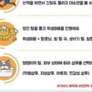 허벌라개 이미지