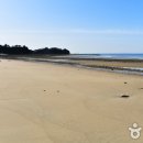 만리포해수욕장 관광지 이미지