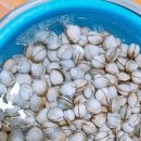 고운향기펜션 이미지