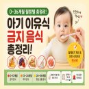 아기 이유식 금지 음식 총정리! 월령별 주의 음식과 알레르기 체크 방법