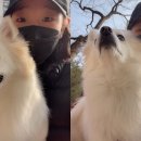 송민호 농장 이미지