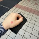 달토끼떡방 | 네잎클로버 🍀