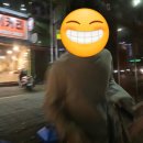 교동세천 이미지