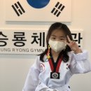 승룡태권도장 이미지