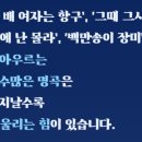 2025 심수봉 전국투어 콘서트 꽃길 | 2025 심수봉 전국투어콘서트 : 꽃길 - 전주 티켓팅 예매 정보 연말효도선물