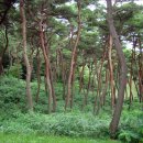 부여(사비)-16 이미지