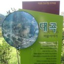 순천-58호 Daum카페