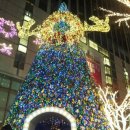 보잉보잉(평일) 이미지