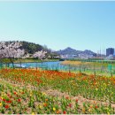목포삼학도