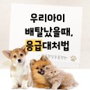 청북햇살 동물병원 이미지