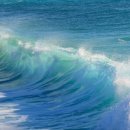 파도농장 이미지