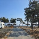 장사해수욕장 | 영덕 겨울 바다 추천 장사 해수욕장 솔직 후기