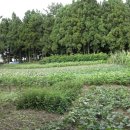 미니목장 이미지