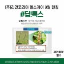인셀덤 솔 - 부천시 원미구 | 인셀덤 솔