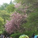 나무그늘 밑의 휴식 이미지