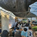 능실초등학교 이미지