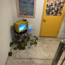 언더 더 코너 이미지