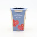 에코가든 이미지