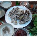 정기농장 이미지