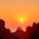 영덕 일출 민박 이미지