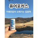 포커스 | 제로카페인 에너지드링크 추천 누트로픽랩 퓨어포커스 후기