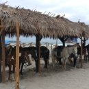 바하캘리포니아 이미지