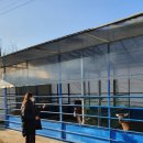 용천농장낚시터 이미지