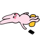 토요코인 대구동성로