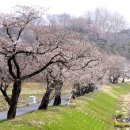 왕궁농장 이미지