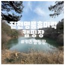 측백장어 | [충북진천]진천명품휴미락캠핑장,역대급화장실규모,내돈내산후기