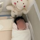 모로 | [육아] 모로반사 꿀잠템 후기! 육아는 템빨이다!