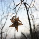 신월1리 마을회관 이미지