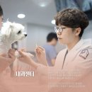 01-64 동구 | 강아지 폐렴 진단 및 치료 후기 [24시 노아동물메디컬센터 진료케이스]