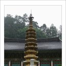 월정사 - 1011 | 월정사
