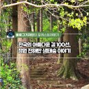 생태숲학습관 1층 | &lt;#포레스트여행기&gt; 한국의 아름다운 길 100선, 창원 진해만 생태숲 이야기