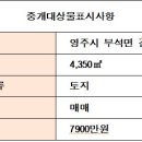 부석공인중개사사무소 네이버블로그