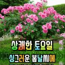 산수리2박3일 이미지