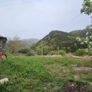 문영규농장 이미지