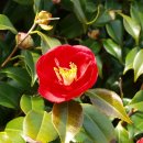 환상의섬 이미지