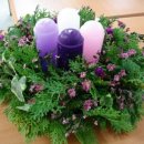 대림초등학교 이미지