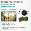 고고싱투어
